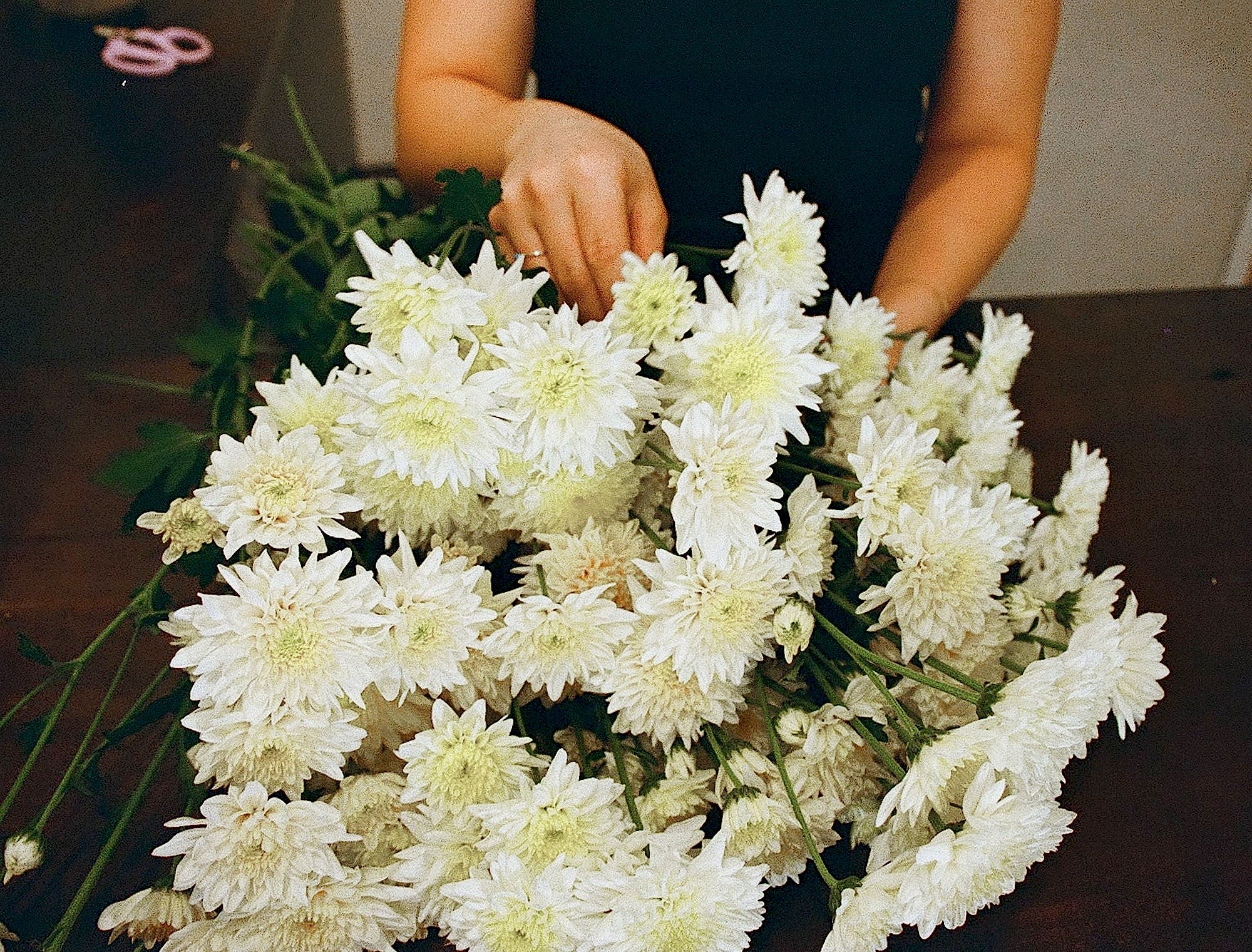 Buds on B, Buderim florist shop, Buderim gift shop, fresh flowers, flower vases, Sunshine Coast florist shop, Sunshine Coast local florist, florist near me, flower delivery, fresh flower delivery, flowers,