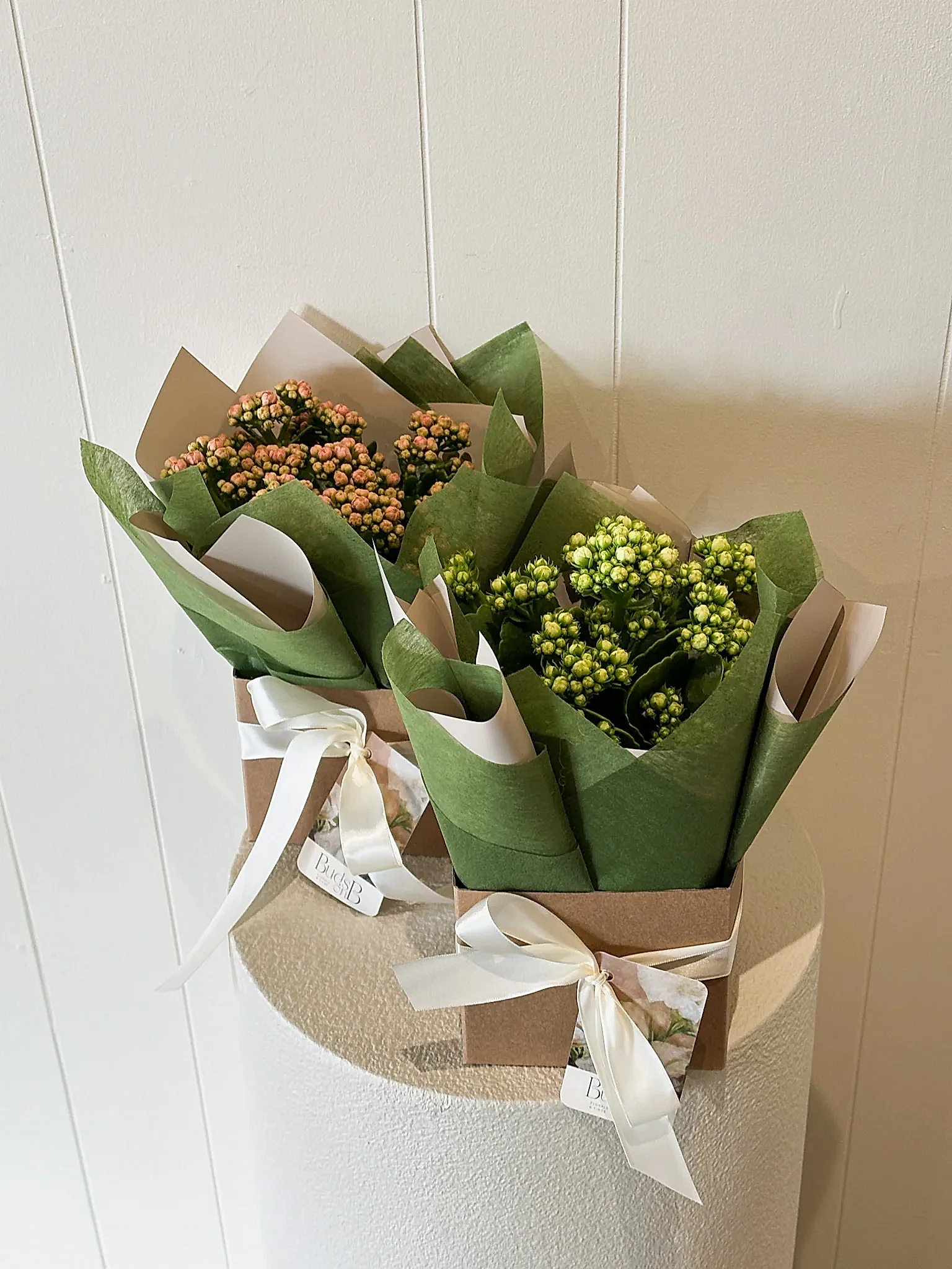 Buds on B, Buderim florist shop, Buderim gift shop, fresh flowers, flower vases, Sunshine Coast florist shop, Sunshine Coast local florist, florist near me, flower delivery, fresh flower delivery, flowers, vases for flowers, florist shop Sunshine Coast, vases, pots, chocolates, gifts, flower posy vase, Woombye florist shop, hinterland florist, Nambour florist, Palmwoods florist, ivy and wood candles and diffusers, Sunshine Coast flower shop, Sunshine Coast Florist, Sunshine Coast Flower delivery 