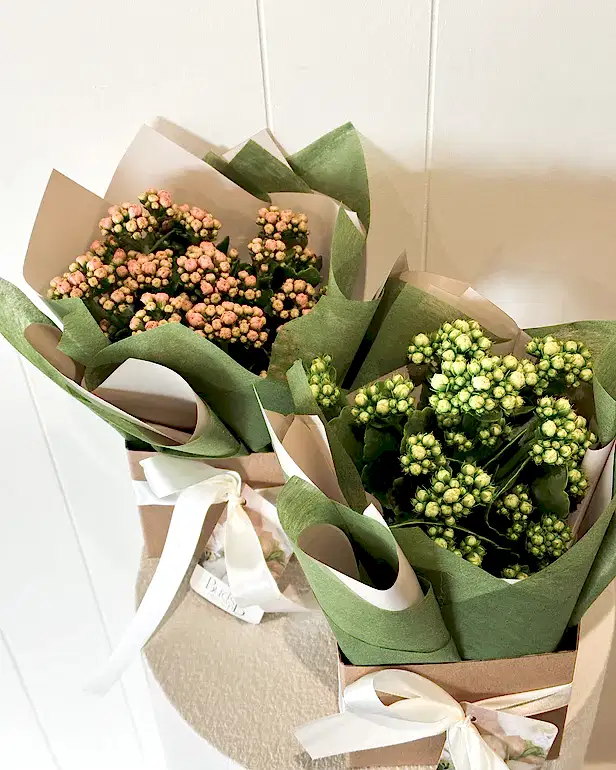 Buds on B, Buderim florist shop, Buderim gift shop, fresh flowers, flower vases, Sunshine Coast florist shop, Sunshine Coast local florist, florist near me, flower delivery, fresh flower delivery, flowers, vases for flowers, florist shop Sunshine Coast, vases, pots, chocolates, gifts, flower posy vase, Woombye florist shop, hinterland florist, Nambour florist, Palmwoods florist, ivy and wood candles and diffusers, Sunshine Coast flower shop, Sunshine Coast Florist, Sunshine Coast Flower delivery 