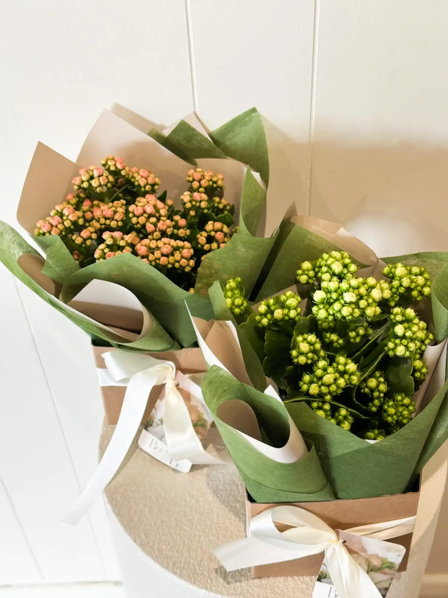 Buds on B, Buderim florist shop, Buderim gift shop, fresh flowers, flower vases, Sunshine Coast florist shop, Sunshine Coast local florist, florist near me, flower delivery, fresh flower delivery, flowers, vases for flowers, florist shop Sunshine Coast, vases, pots, chocolates, gifts, flower posy vase, Woombye florist shop, hinterland florist, Nambour florist, Palmwoods florist, ivy and wood candles and diffusers, Sunshine Coast flower shop, Sunshine Coast Florist, Sunshine Coast Flower delivery 