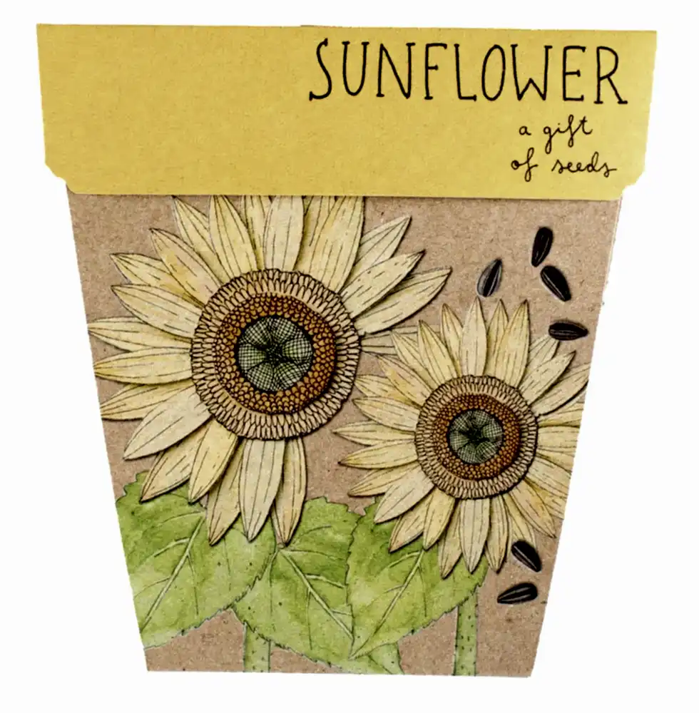 sow and sow, gift of seeds, card seeds, maleny card seeds, sunshine coast gift shop, sunshine coast flower shop, flower delivery, flowers and gift
